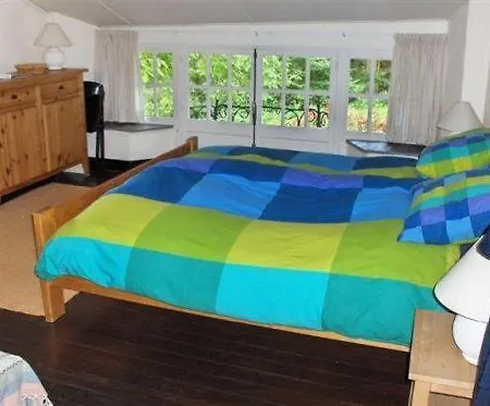 Shamrock Guest house 2*