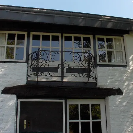 Shamrock Guest house